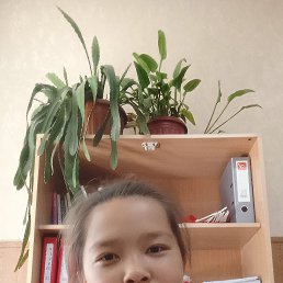 , 17, 
