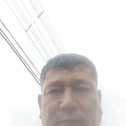, 38, 