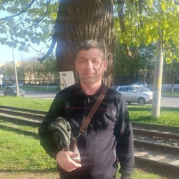 ���� ���������, ������ �����, 51 ��� - ��������� 2 ������ 2026