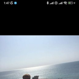 �������, �����������, 40 ���