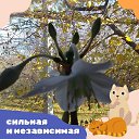   , --, 55  -  10  2025