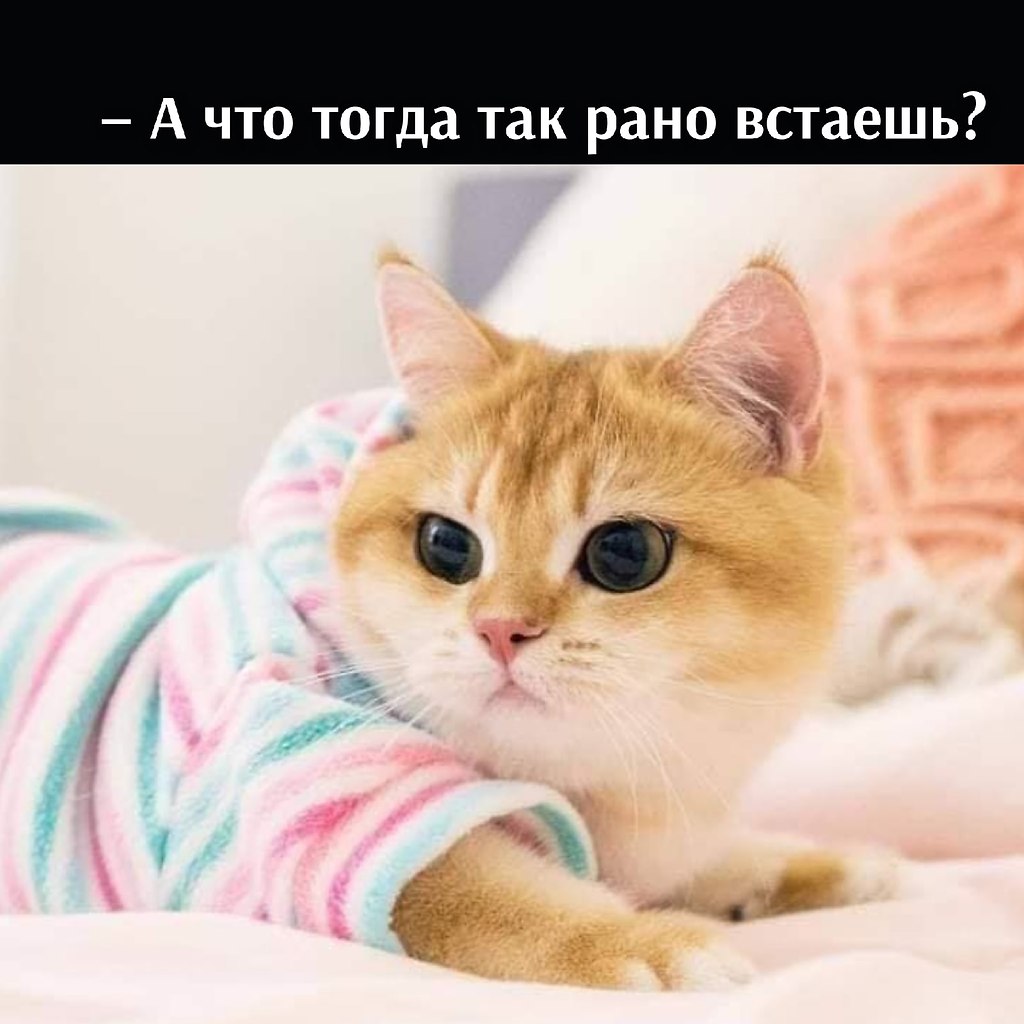 ��� ���� � ����� �� �� - 20 ����� 2026 � 22:30 - 3