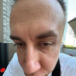 ���������, �������, 36 ���