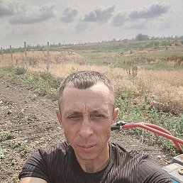  , 38, 