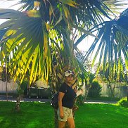 ������, 59 ���, ����