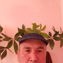 , 53 , 