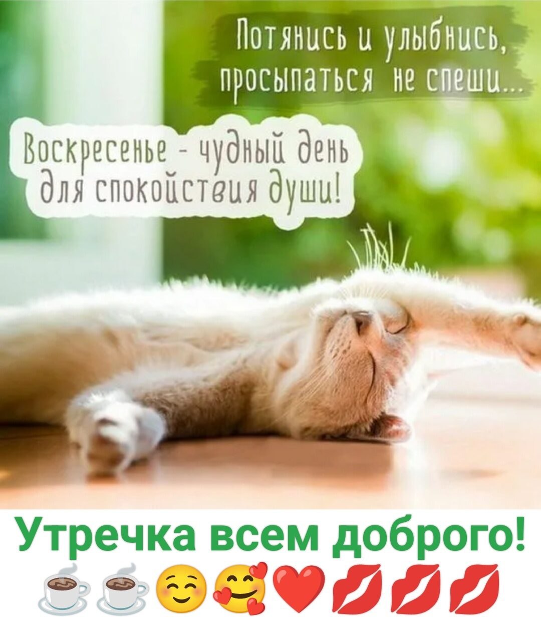 ***Victoria Viktorovna*** - 22  2024  06:39