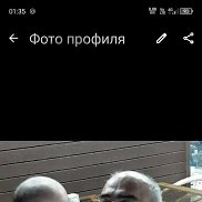 ���, 59 ���, �������