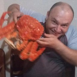 �����, ���������, 45 ���