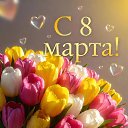 ���� ������, ���������, 64 ���� - ��������� 8 ����� 2026 � ������ ���� ����������