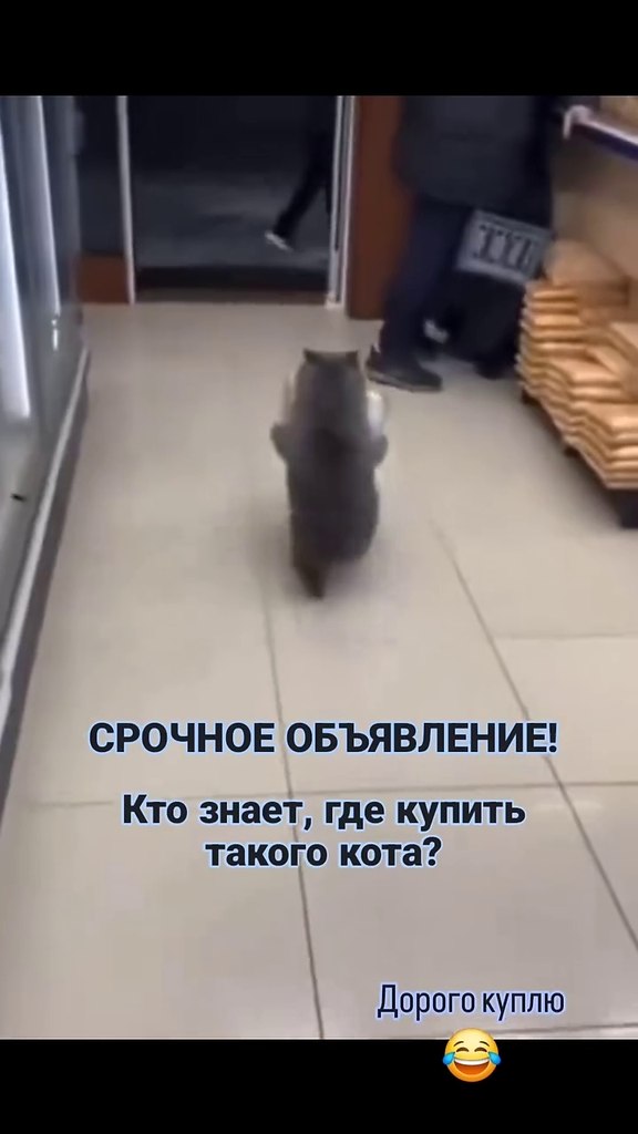 ���� ��� �����, ����������!) - 2