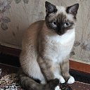 ���� �������, ������ - ��������� 30 ������ 2025 � ������ ���� ����������