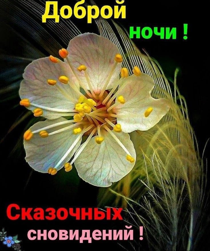   - 3  2025  18:45