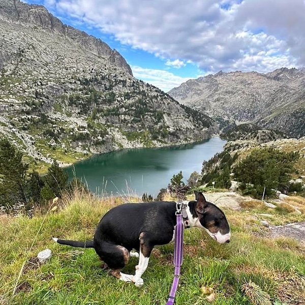 � �������� ���� ���������� �������, ������� �� ���������� 10 ��� �������� ���������� �����, ������� ... - 6