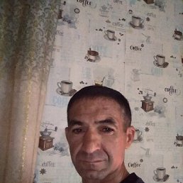 ���� ������, ���������, 43 ���� - ��������� 2 ������ 2026