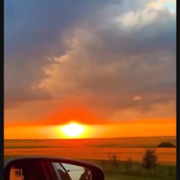 ���� ����, �������, 47 ��� - ��������� 7 ������� 2025