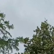 ����, , ������