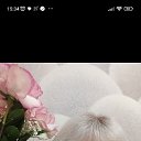 ���� �������, ���������, 53 ���� - ��������� 7 ��� 2025 � ������ ���� ����������