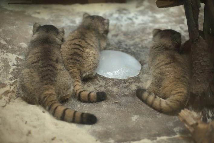 �������� ����� ��������� � ����� ��������! - 5