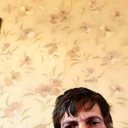 ���� ������, �����������, 85 ��� - ��������� 14 ������ 2024