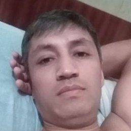 ������, �����, 41 ���