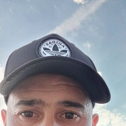 , 30, 