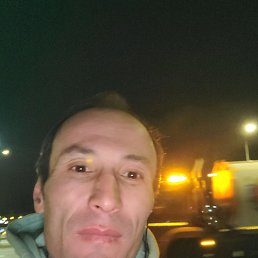 , 41 , -