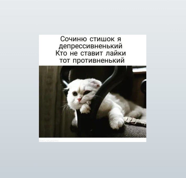   - 7  2025  23:23
