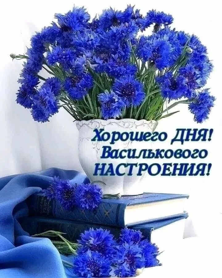  (   ) - 8  2025  11:57