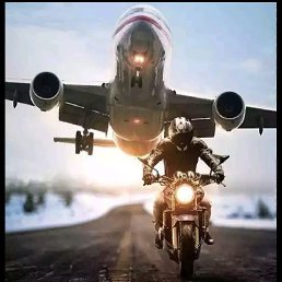 Ziver, �����������, 24 ����