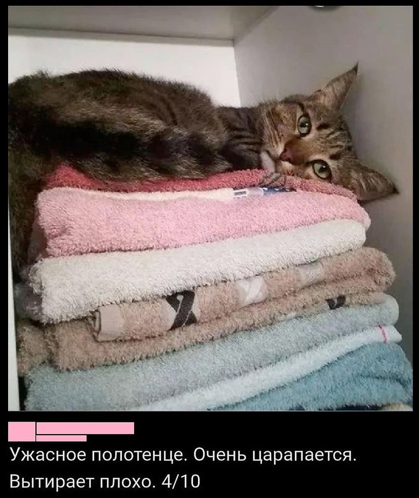 ���� - 21 ��� 2025 � 23:18