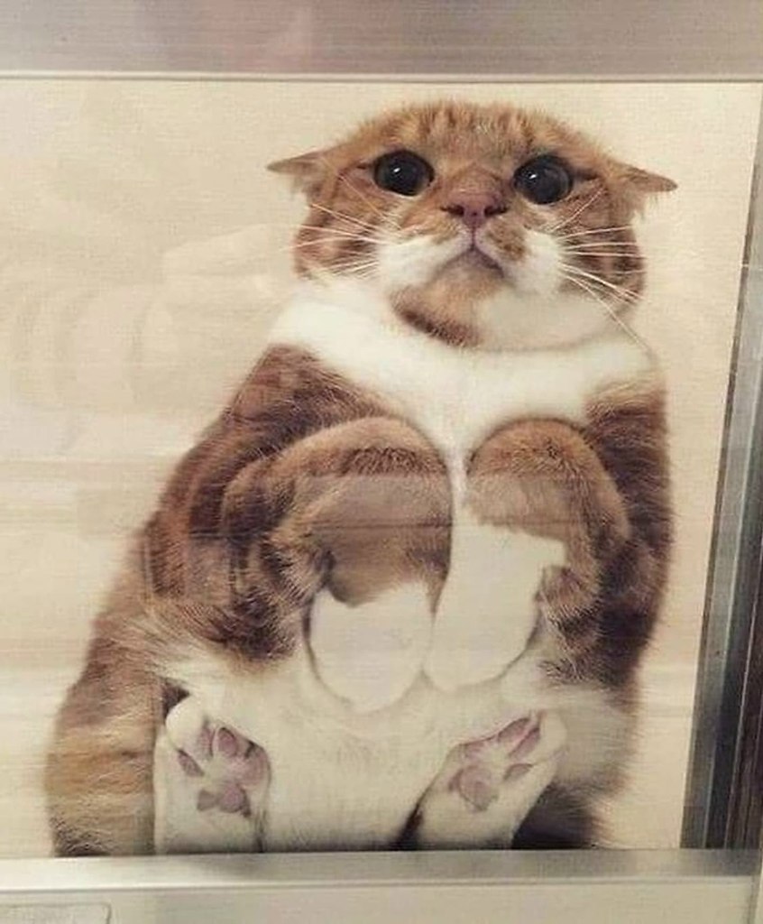            - 4