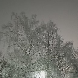 ������, ������, 53 ����