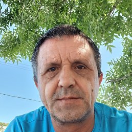 , 46 , 