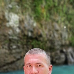 ������, 41 ���, �����