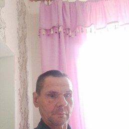 , 56, 