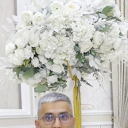 �������, 46 ���, �������������