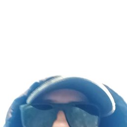 , 33, 