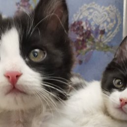 ��, ����, 30 ���