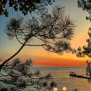 ���� ����, ����, 46 ��� - ��������� 23 ������� 2023 � ������ ���� ����������