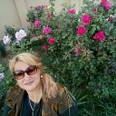 ���� �������, ������ - ��������� 26 ������ 2025 � ������ ���� ����������