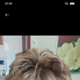 ���� ������, ���������, 55 ��� - ��������� 28 ������� 2026