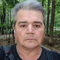 , , 56 