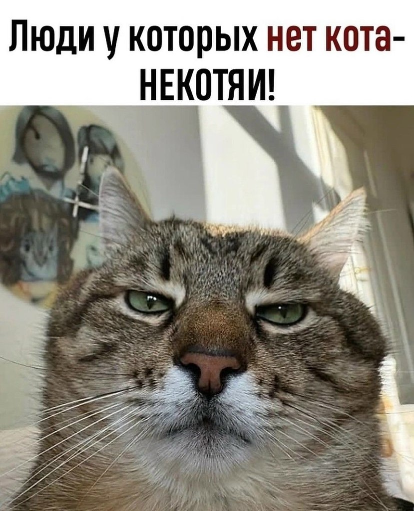��� ���� � ����� �� �� - 4 ������ 2026 � 15:19