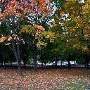  Gina Smirnova, -, 46  -  6  2025    