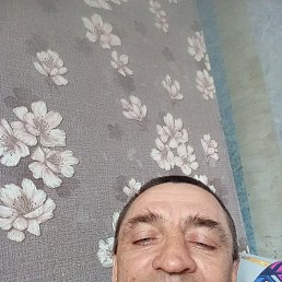 , 52 , 