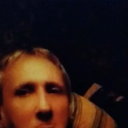 ������ �������, 44 ����, ���������