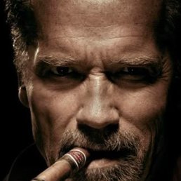 ����, ��������, 47 ���