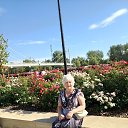 ���� ����, �������� - ��������� 11 �������� 2026 � ������ ���� ����������