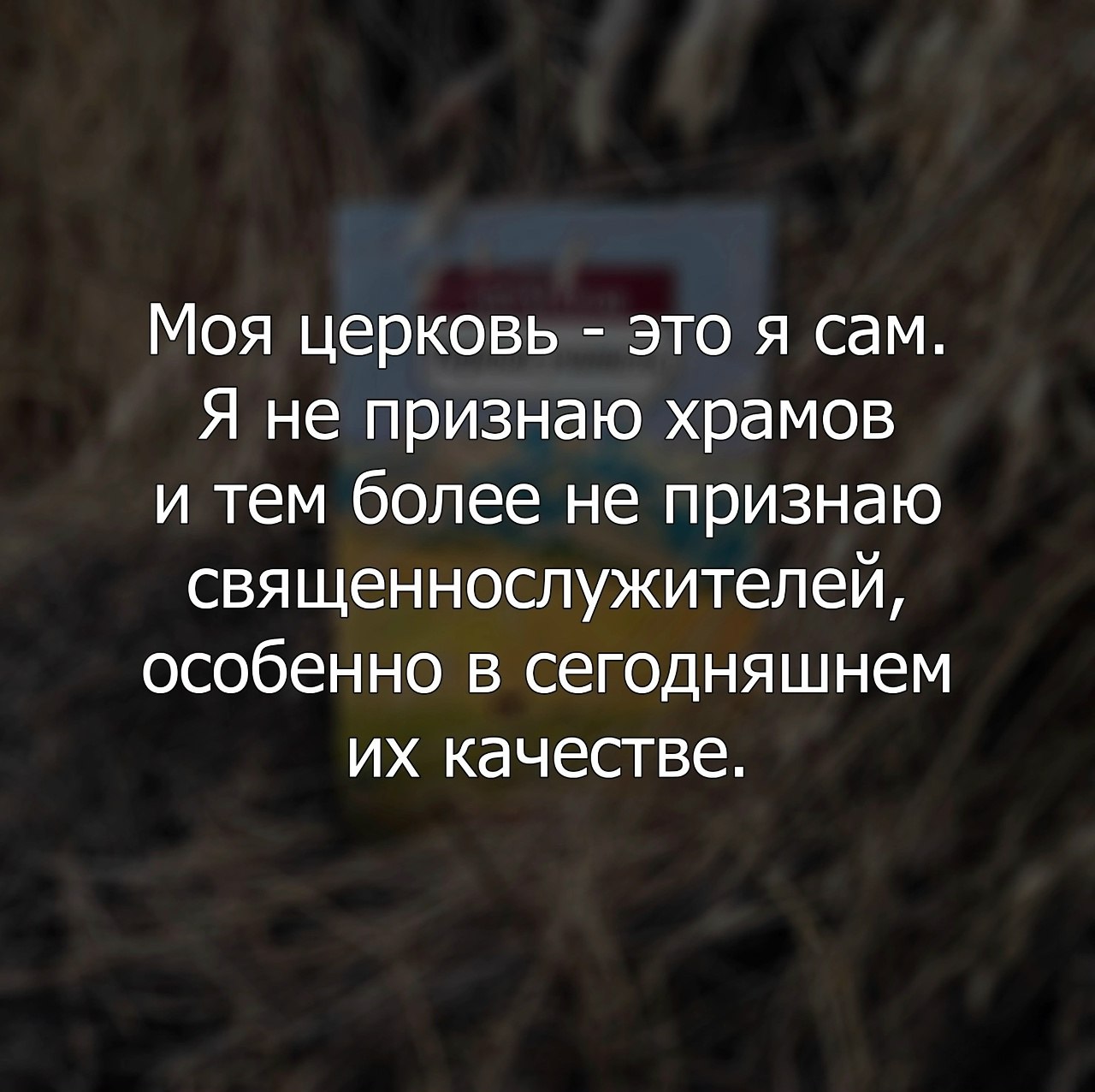  - 24  2025  14:33